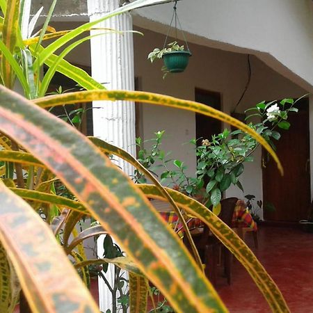 Winstar Homestay Sigiriya Esterno foto