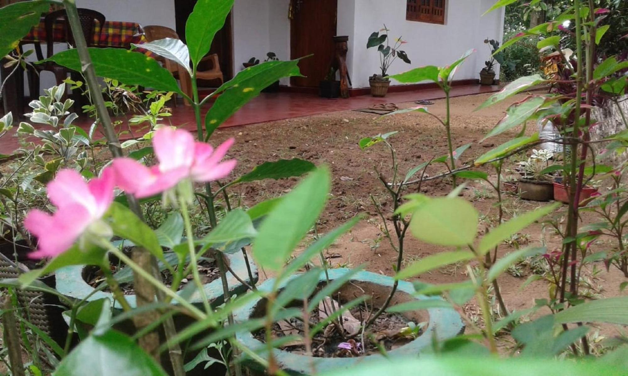 Winstar Homestay Sigiriya Esterno foto