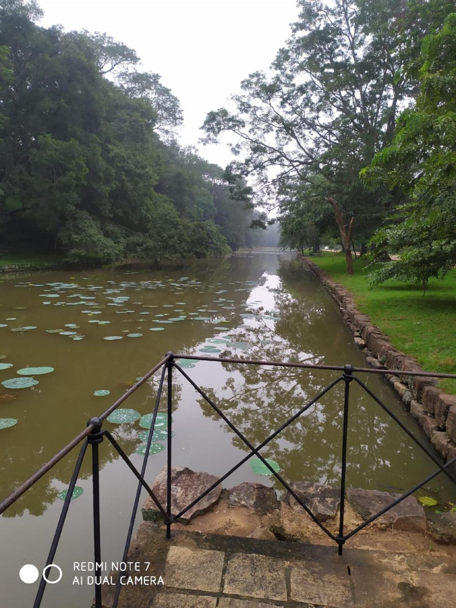 Winstar Homestay Sigiriya Esterno foto
