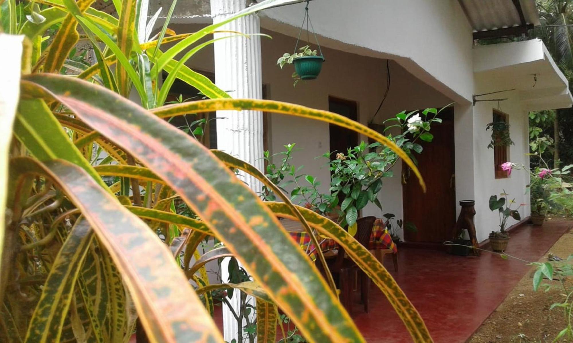 Winstar Homestay Sigiriya Esterno foto
